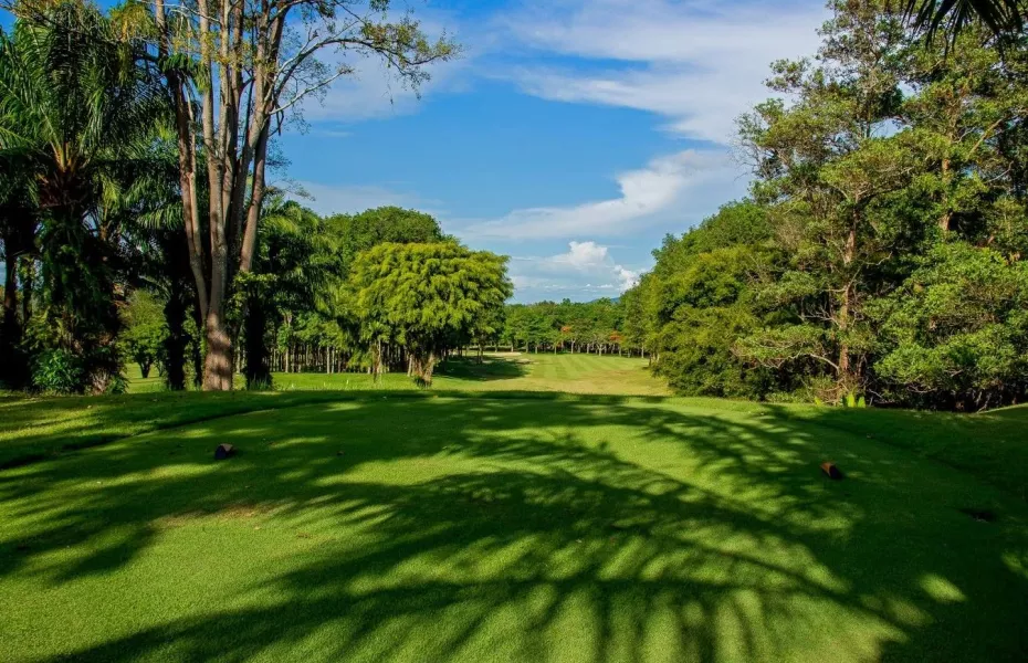 Blue Canyon CC - Canyon: #10