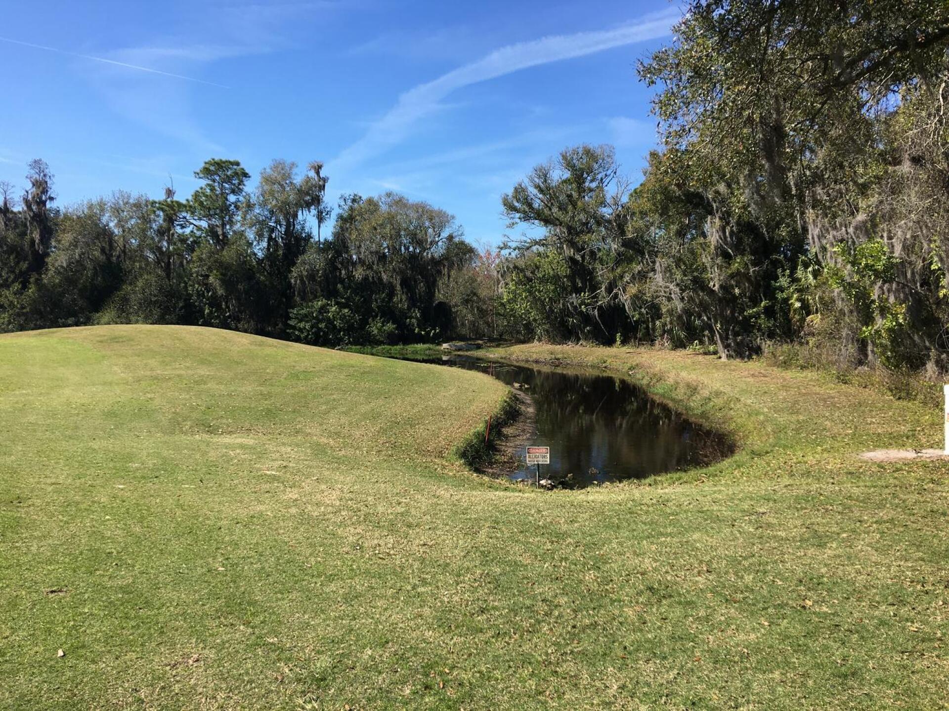 (Photo submitted by russcude on 02/04/2021)