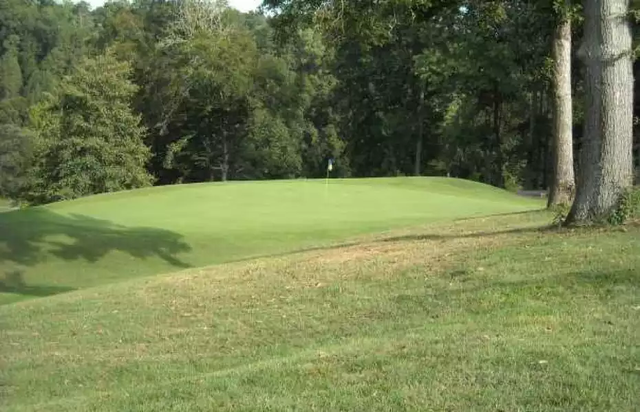 Hemlock GC: #1