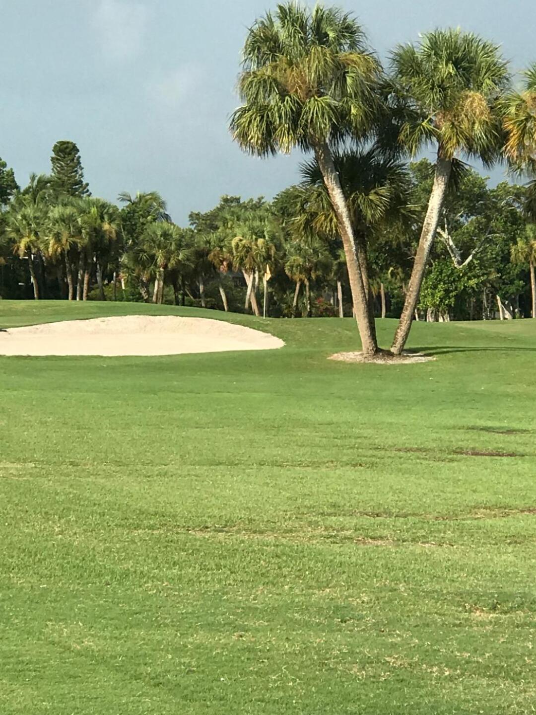 11th Hole (Photo submitted by donmyers on 07/27/2019)