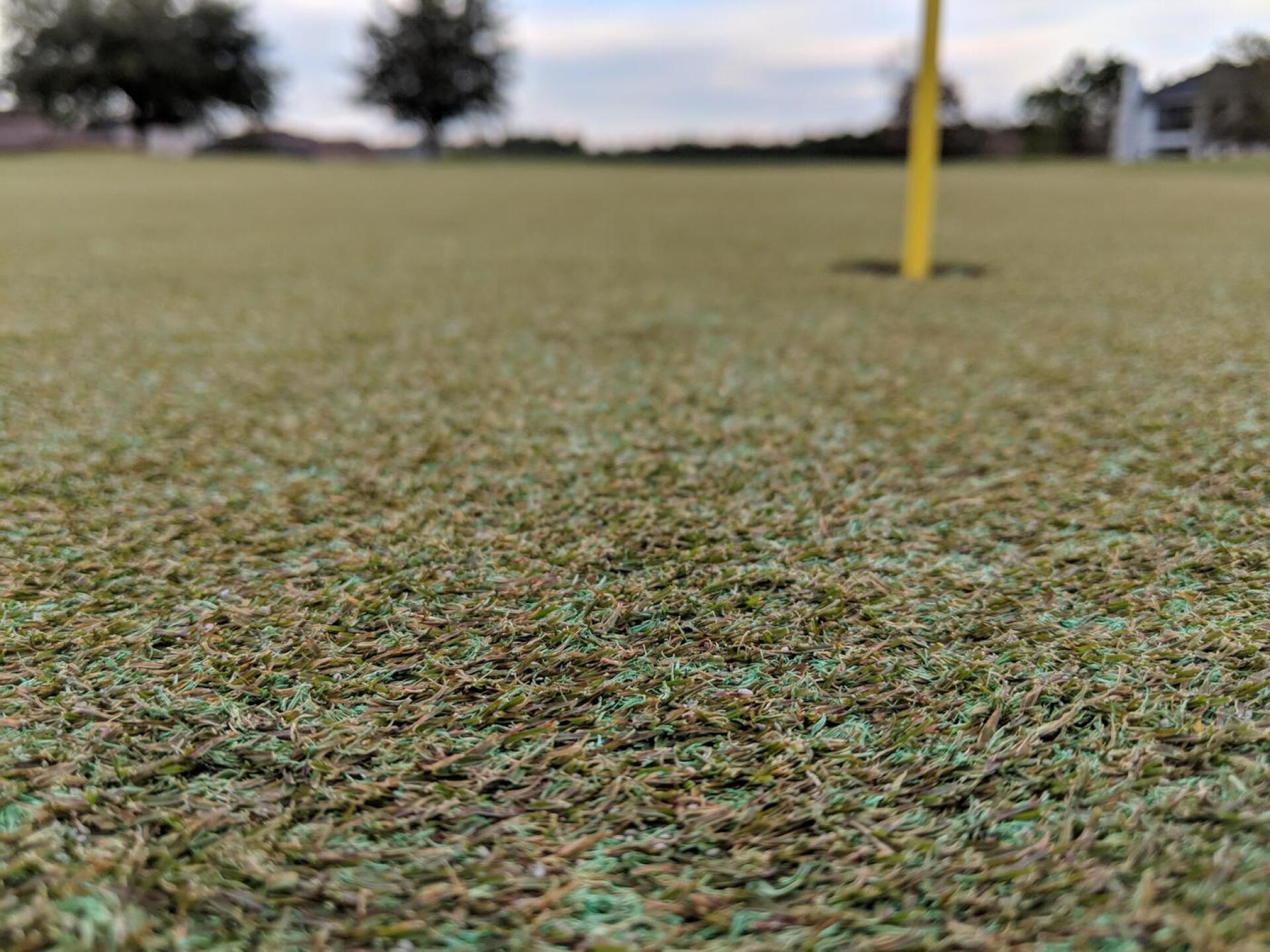 Terrible :-( (Photo submitted by bobogator on 01/20/2019)