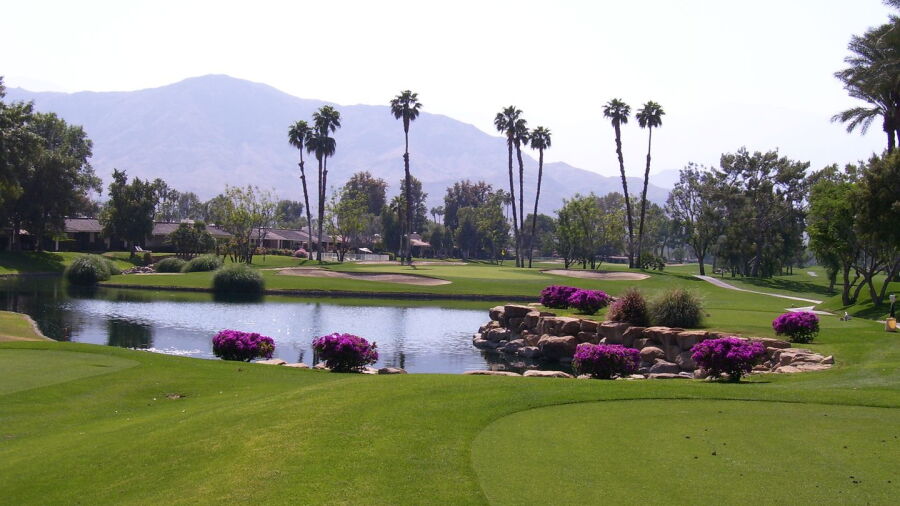 Springs Club