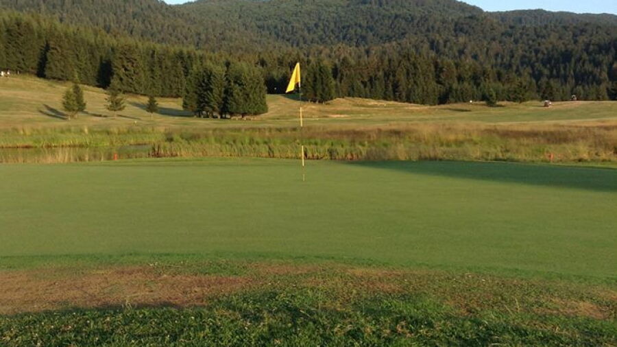 Cansiglio GC: #17