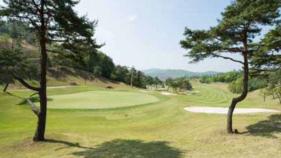 Baekje CC - Woongjin: #8