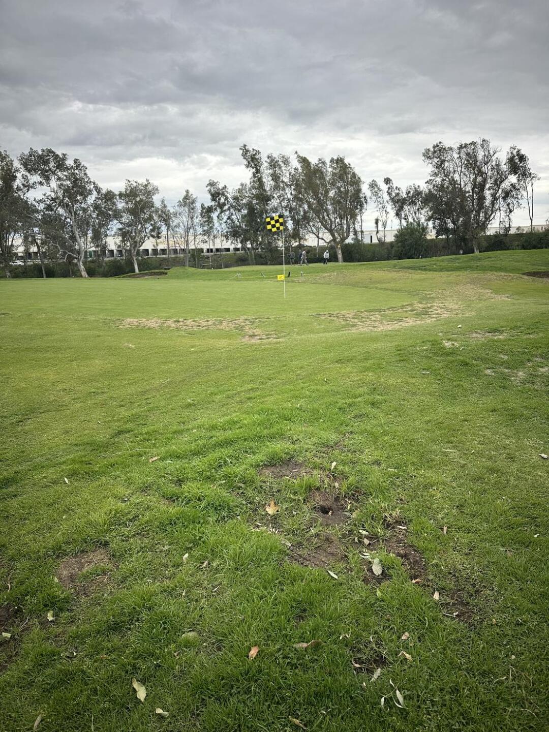 (Photo submitted by JohnMartii on 01/01/2026)