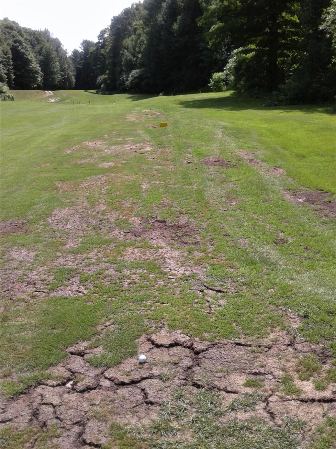 Horseshoe Valley (Photo submitted by Lamae9 on 07/16/2019)