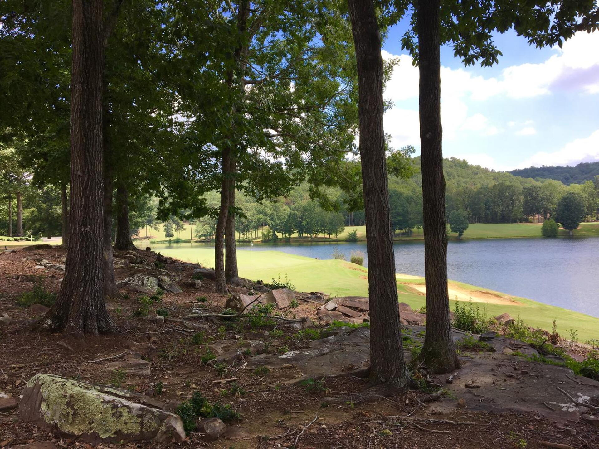 Par-3 eighth hole (Photo submitted by BrandonWebb on 08/23/2017)