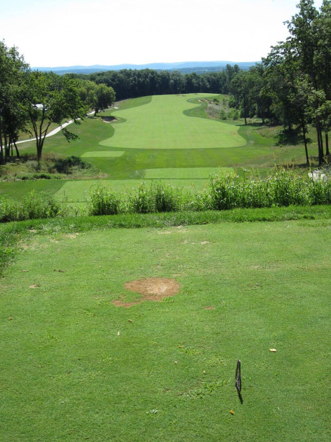 #6 (Photo submitted by BryanTweed16 on 07/11/2015)