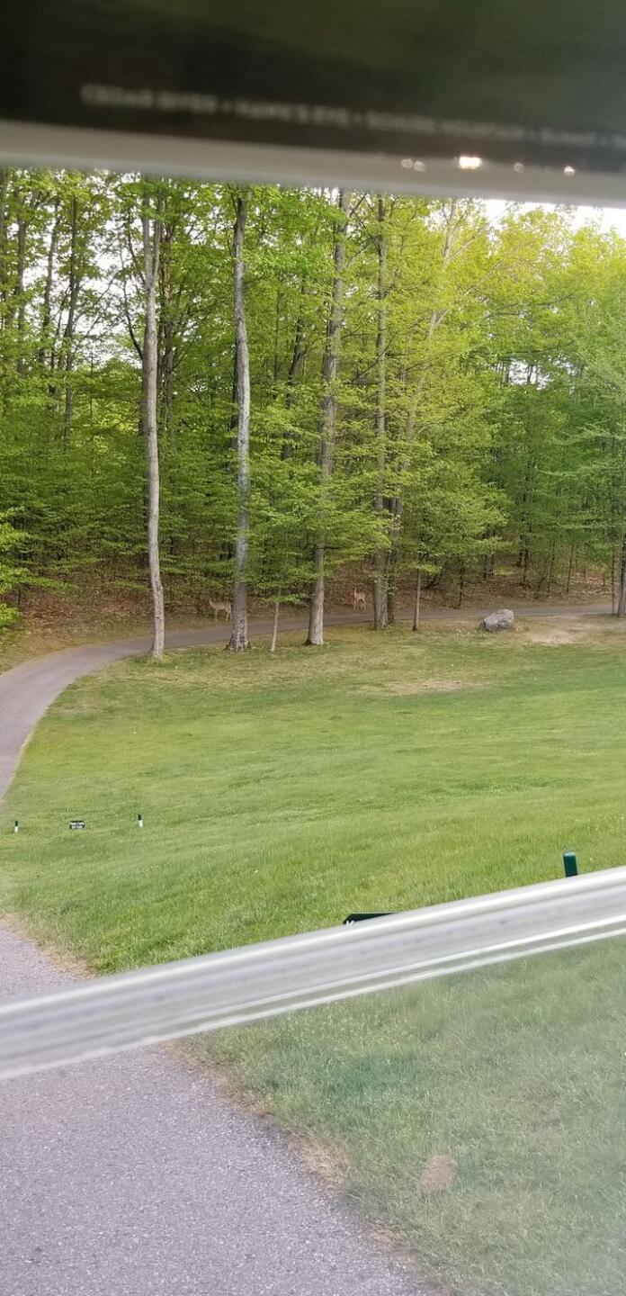 (Photo submitted by u710191935 on 05/19/2021)