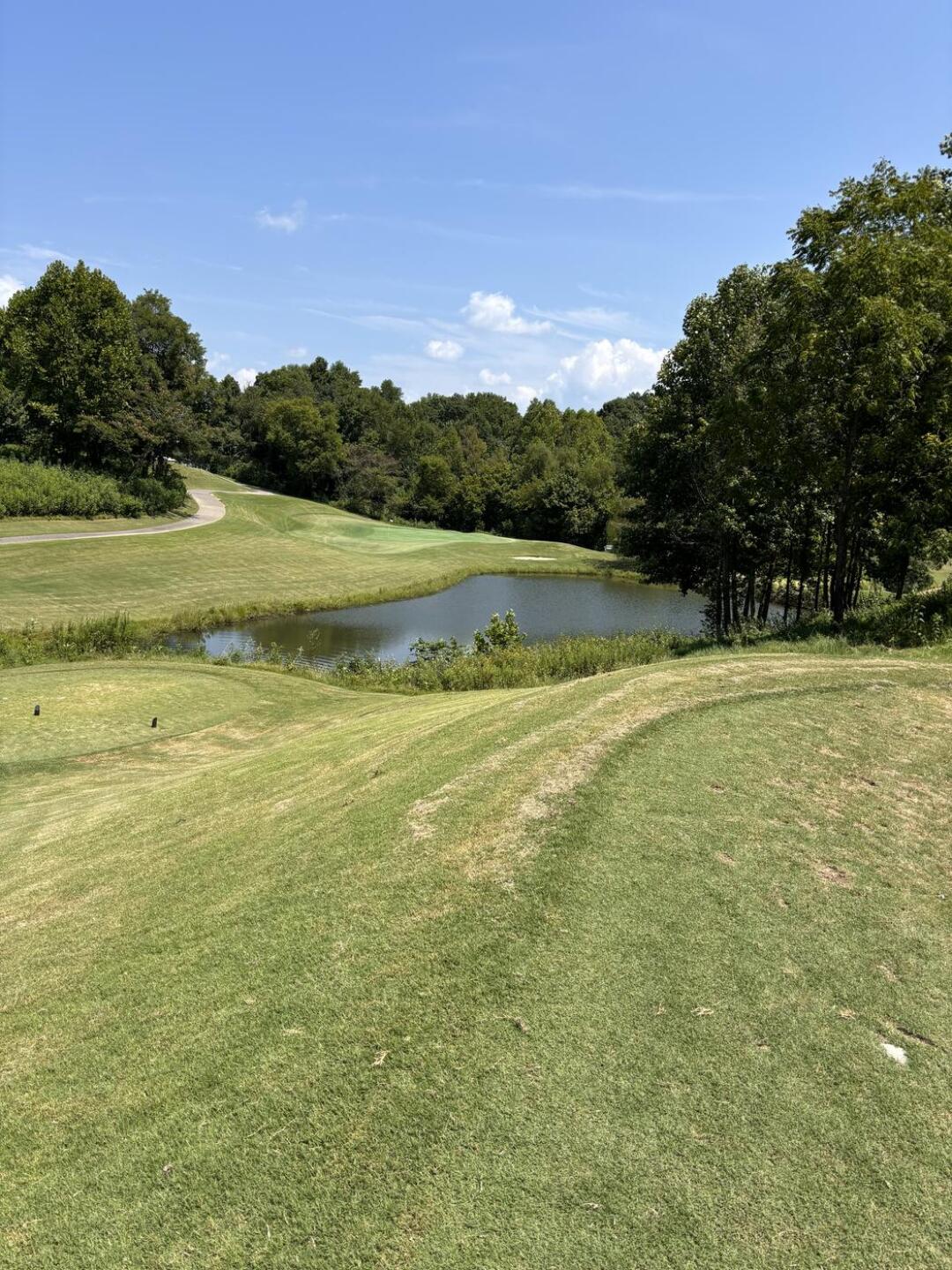 (Photo submitted by Alexcrit on 08/06/2024)