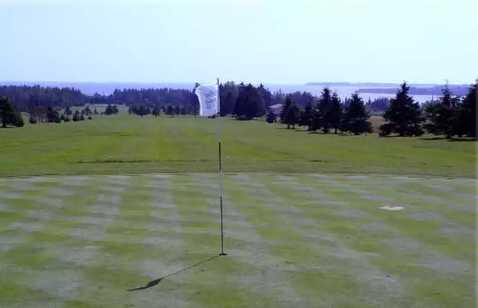 Rollo Bay Greens: #9