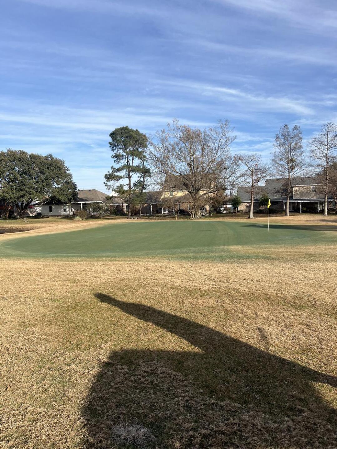 (Photo submitted by u376286054 on 02/01/2025)