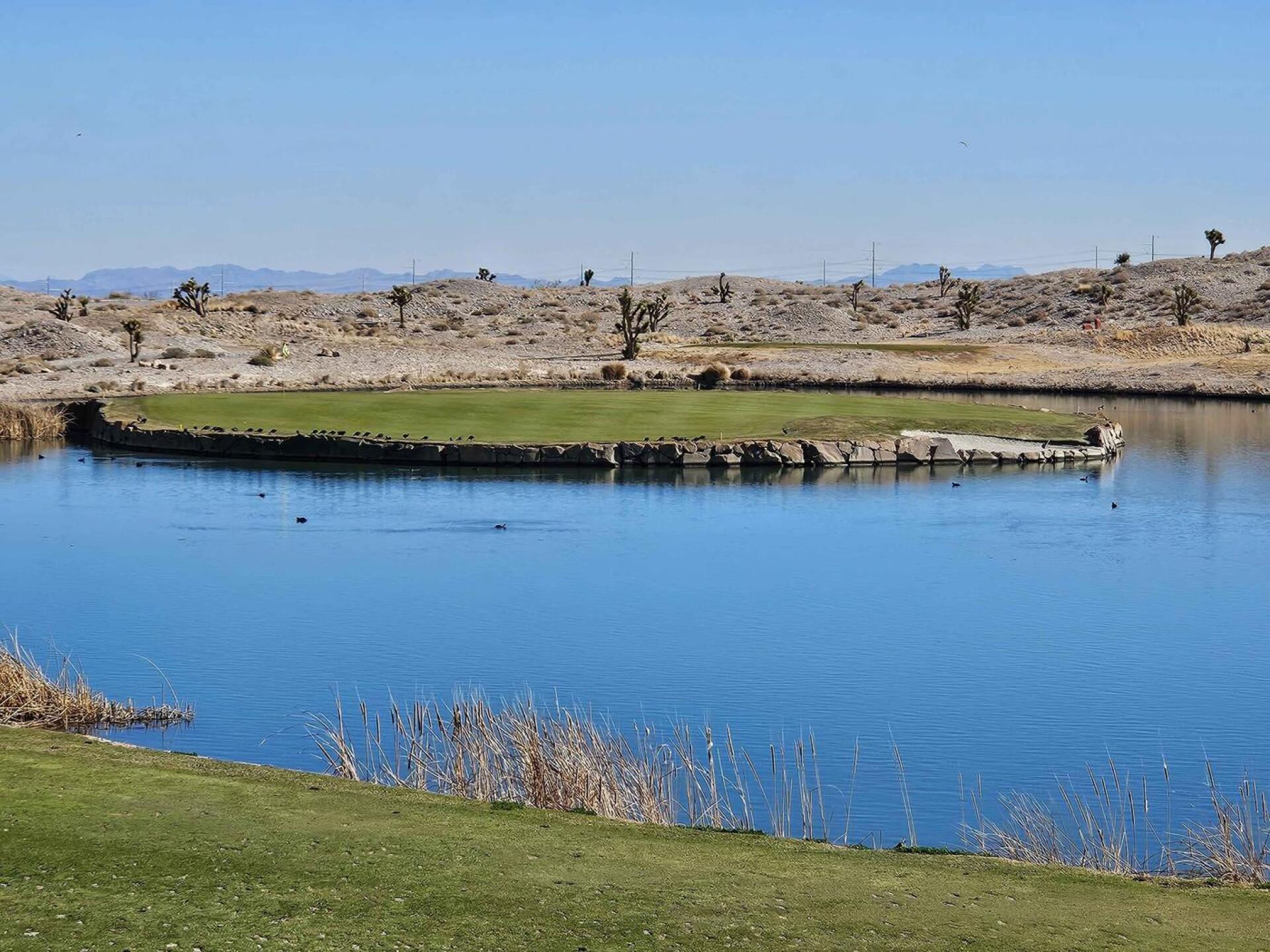 (Photo submitted by u314161622535 on 02/23/2025)