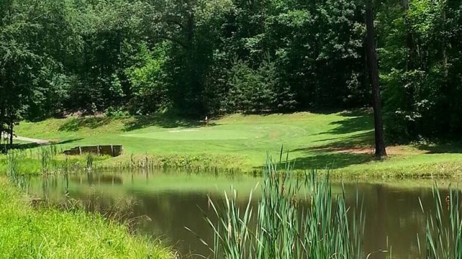 Shadow Ridge GC: #8