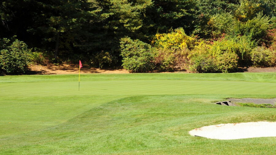 Needham GC
