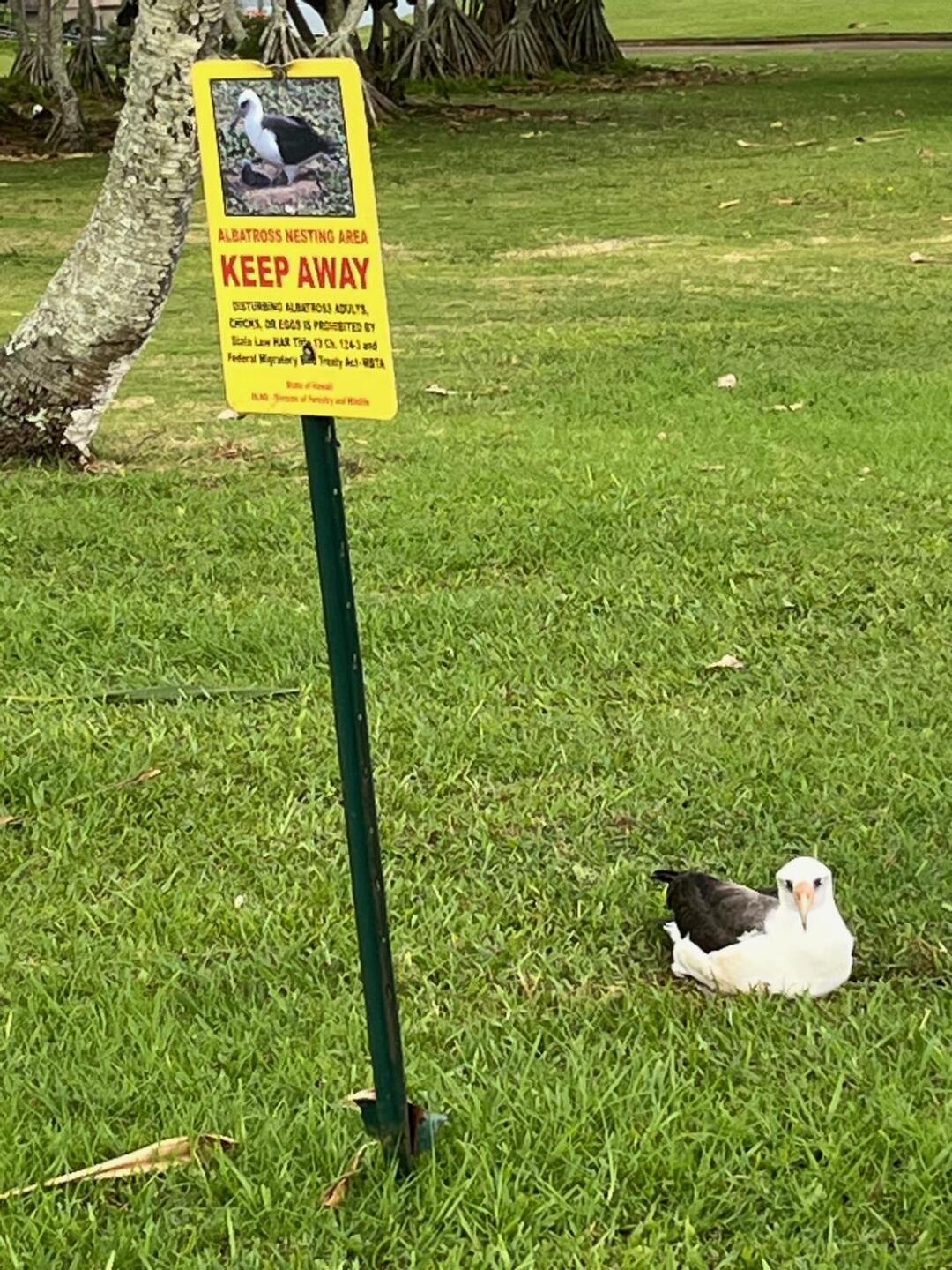 Between 6 & 7 (Photo submitted by handymn on 12/07/2024)