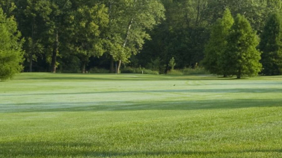Stony Creek GC - The Championship: #4