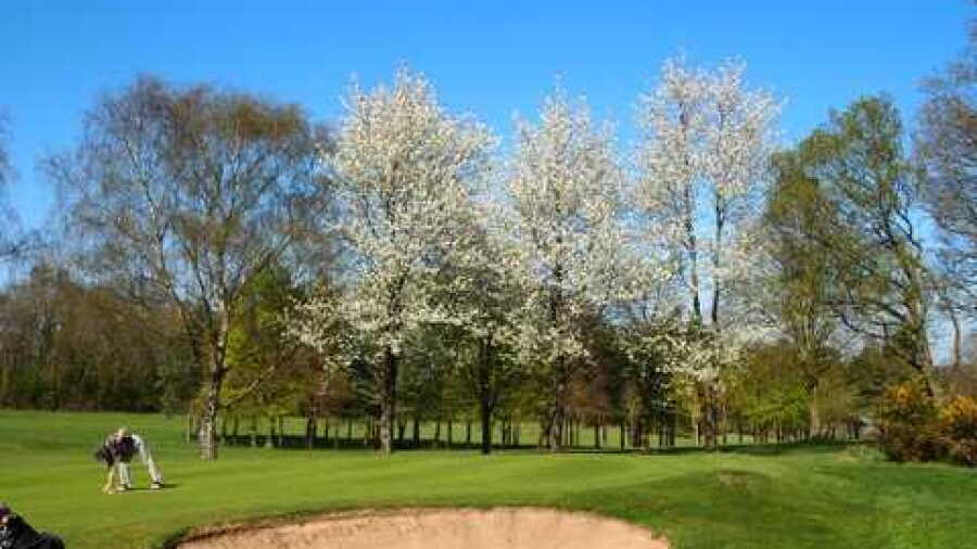 Henley GC: #11