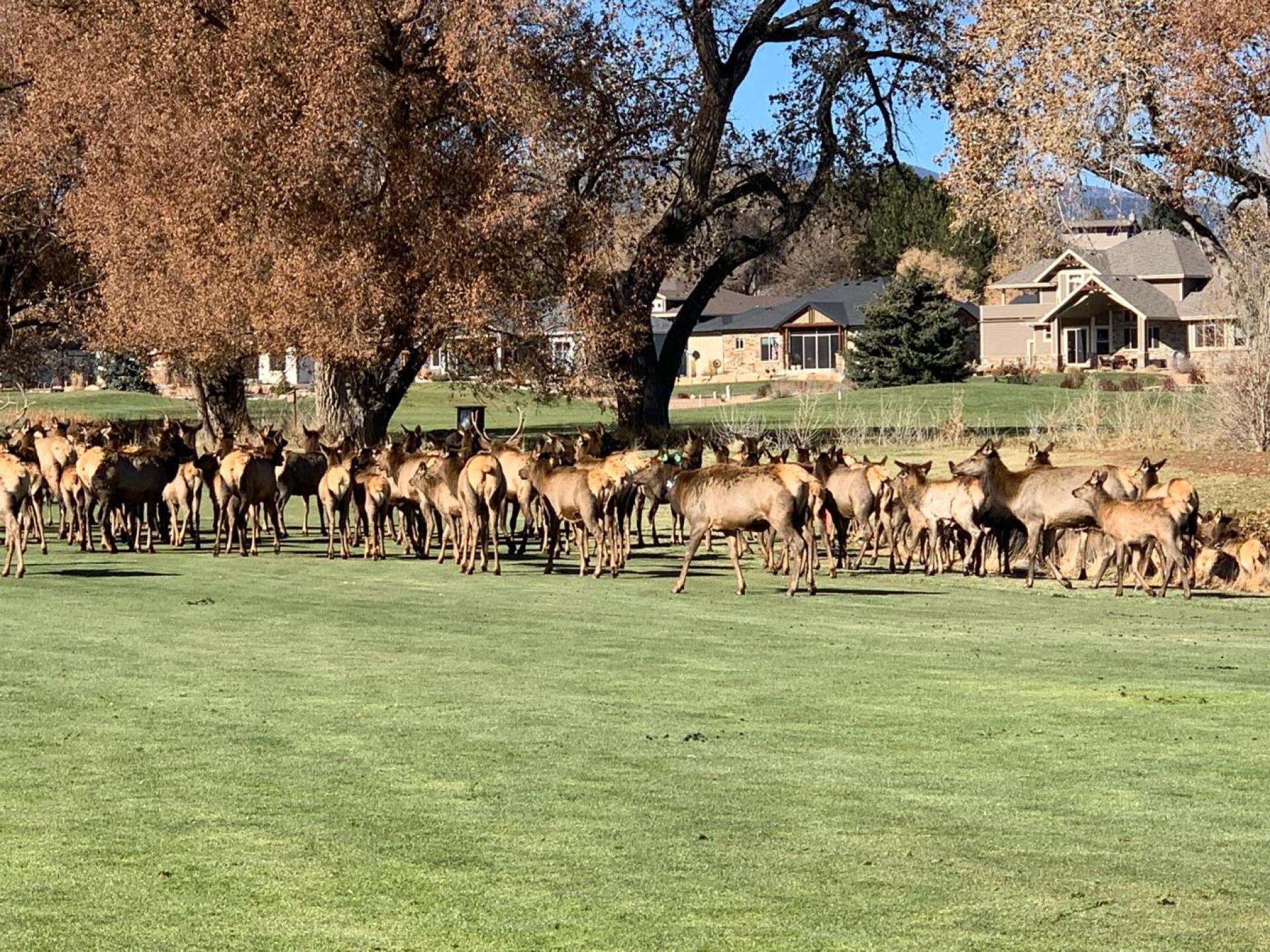 (Photo submitted by Danmackey58 on 12/07/2019)