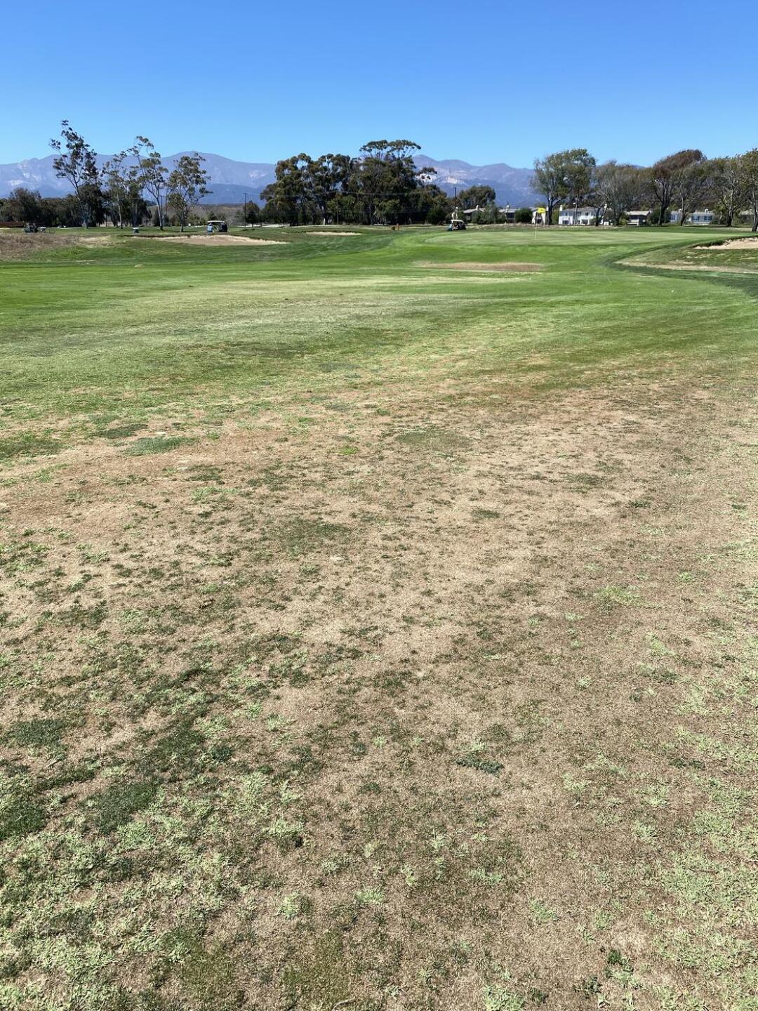 typical fairways conditions... (Photo submitted by PickyGolfGuy on 07/05/2021)