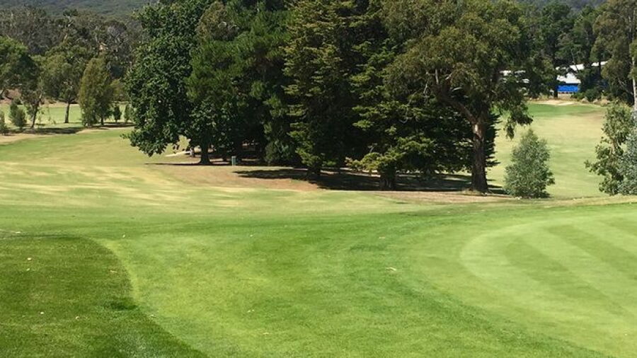 Eastwood GC: #6