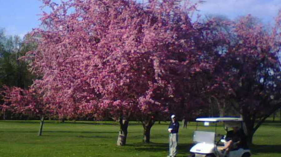 Wells College GC