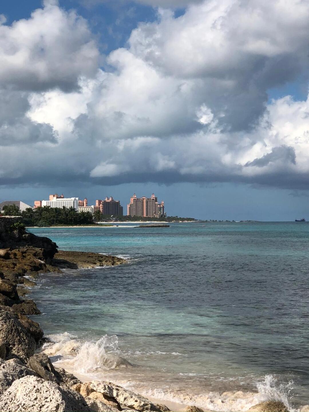 (Photo submitted by u00000432421 on 11/19/2019)