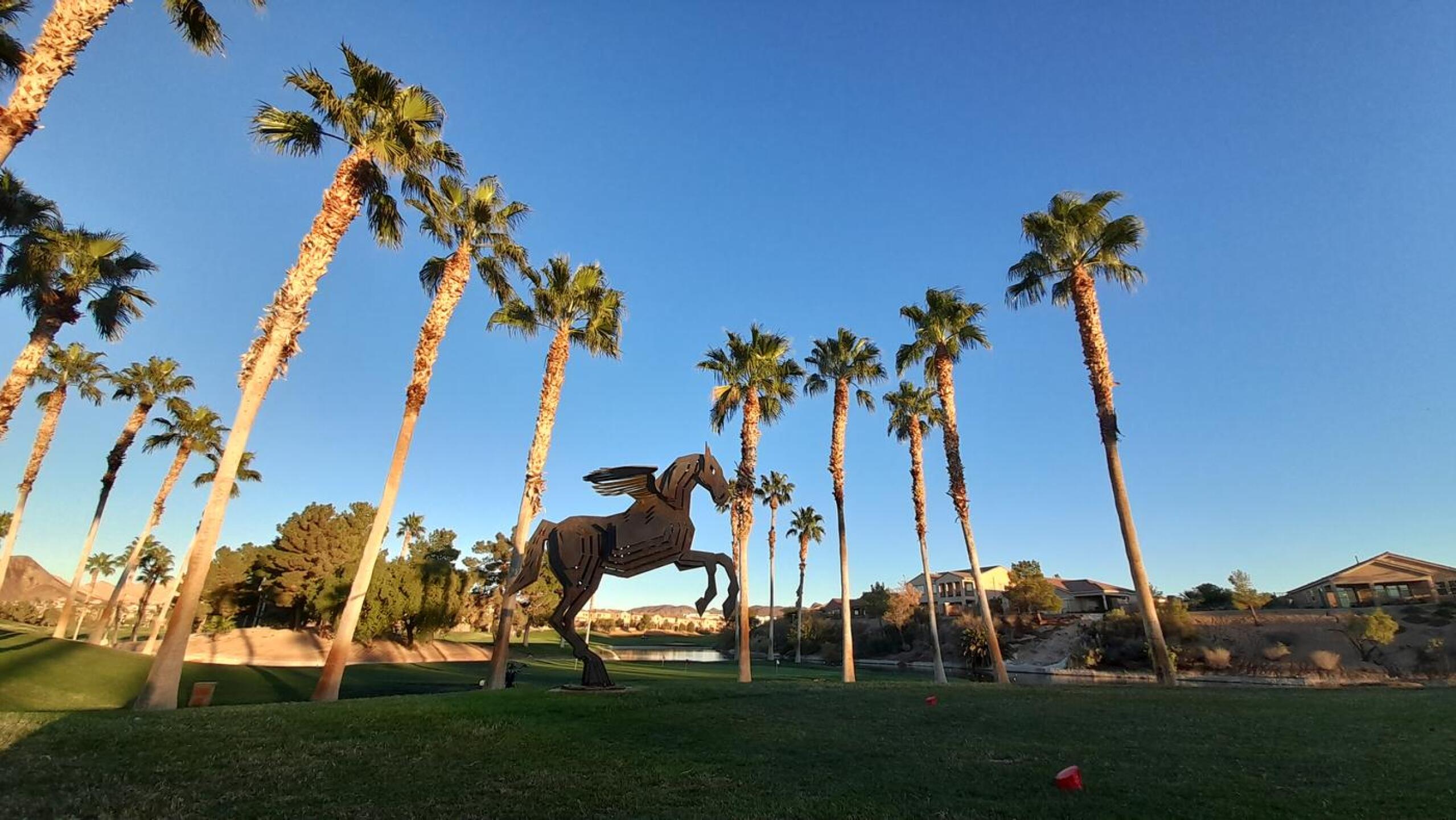 (Photo submitted by u314162178892 on 11/24/2022)