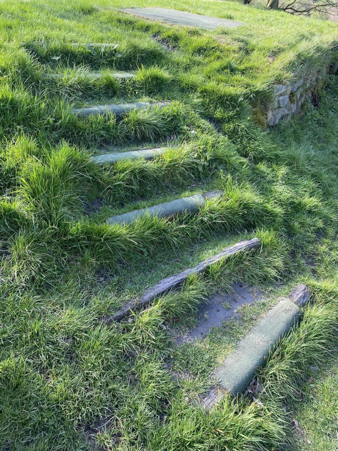 (Photo submitted by u9100381 on 04/27/2026)