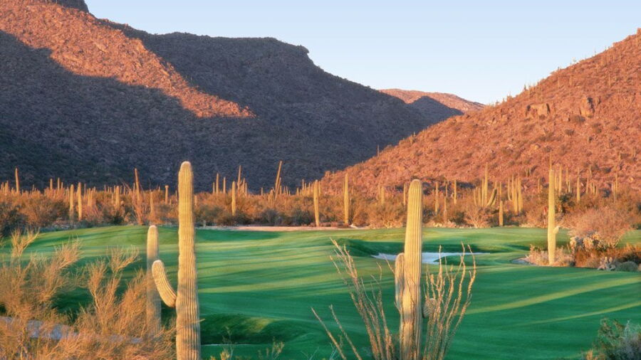 Gallery Golf Club - South: #12
