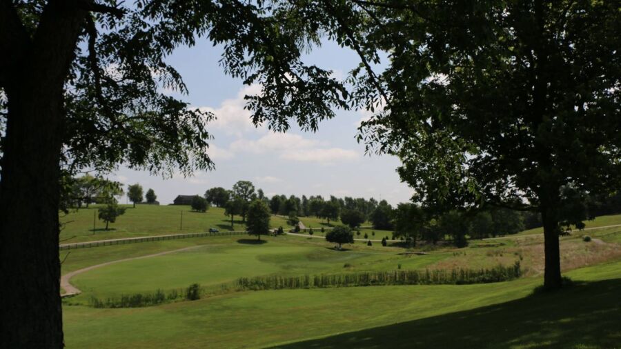 Thoroughbred GC at High Point