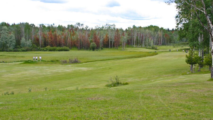 Tin Cup Greens GC