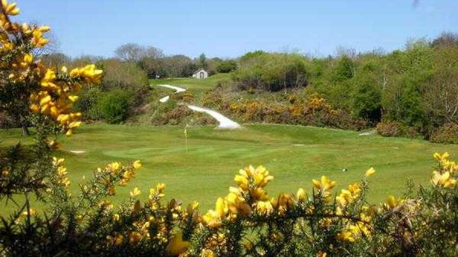 Mold GC: #6