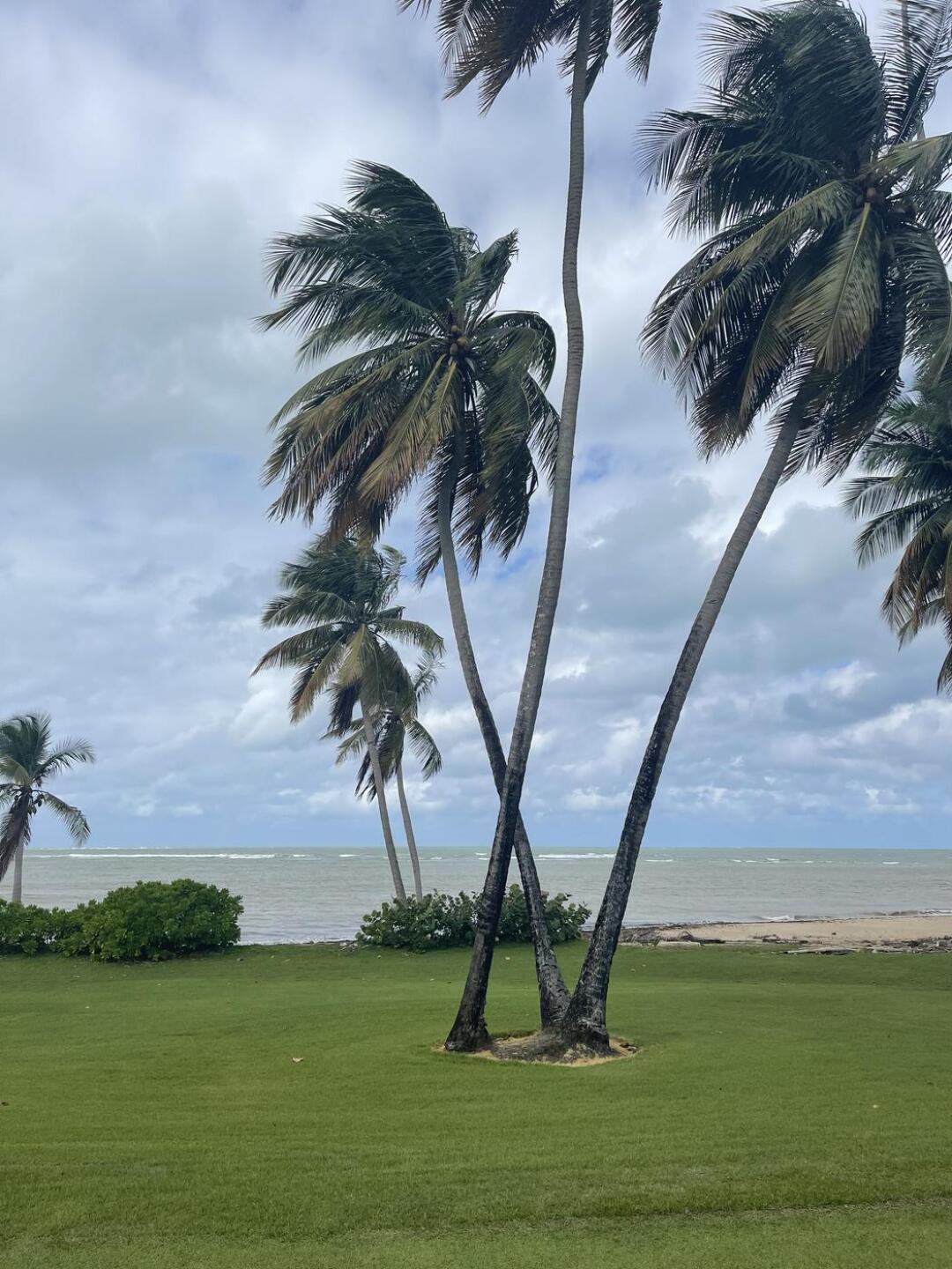 (Photo submitted by u471631756 on 01/12/2025)