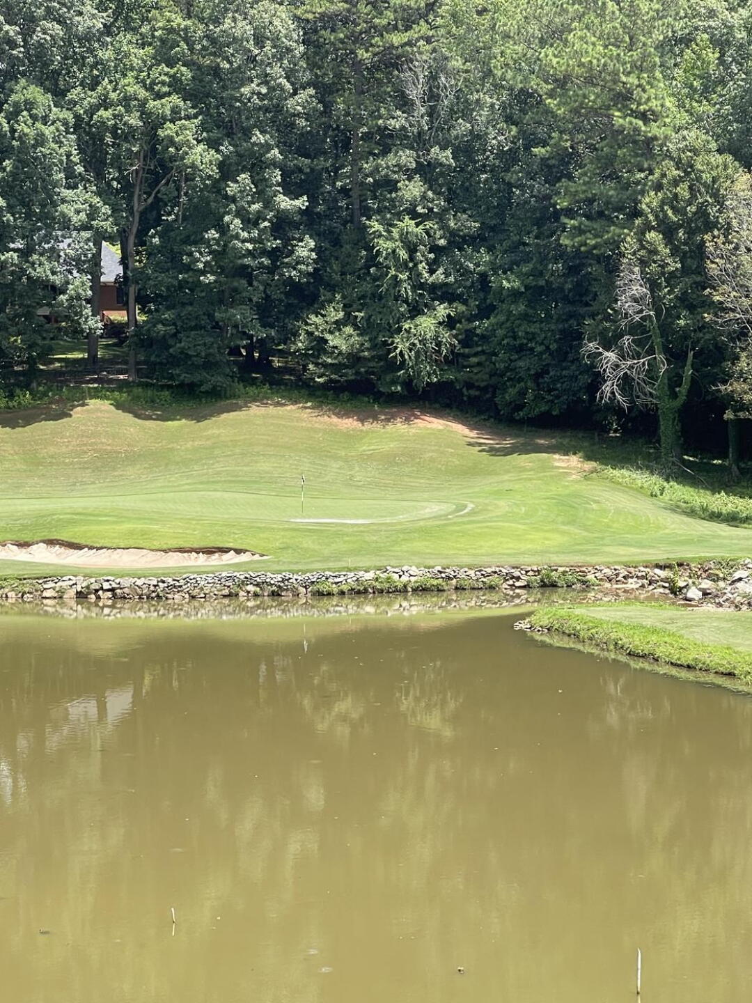(Photo submitted by Ocdgolfer1972 on 07/10/2024)