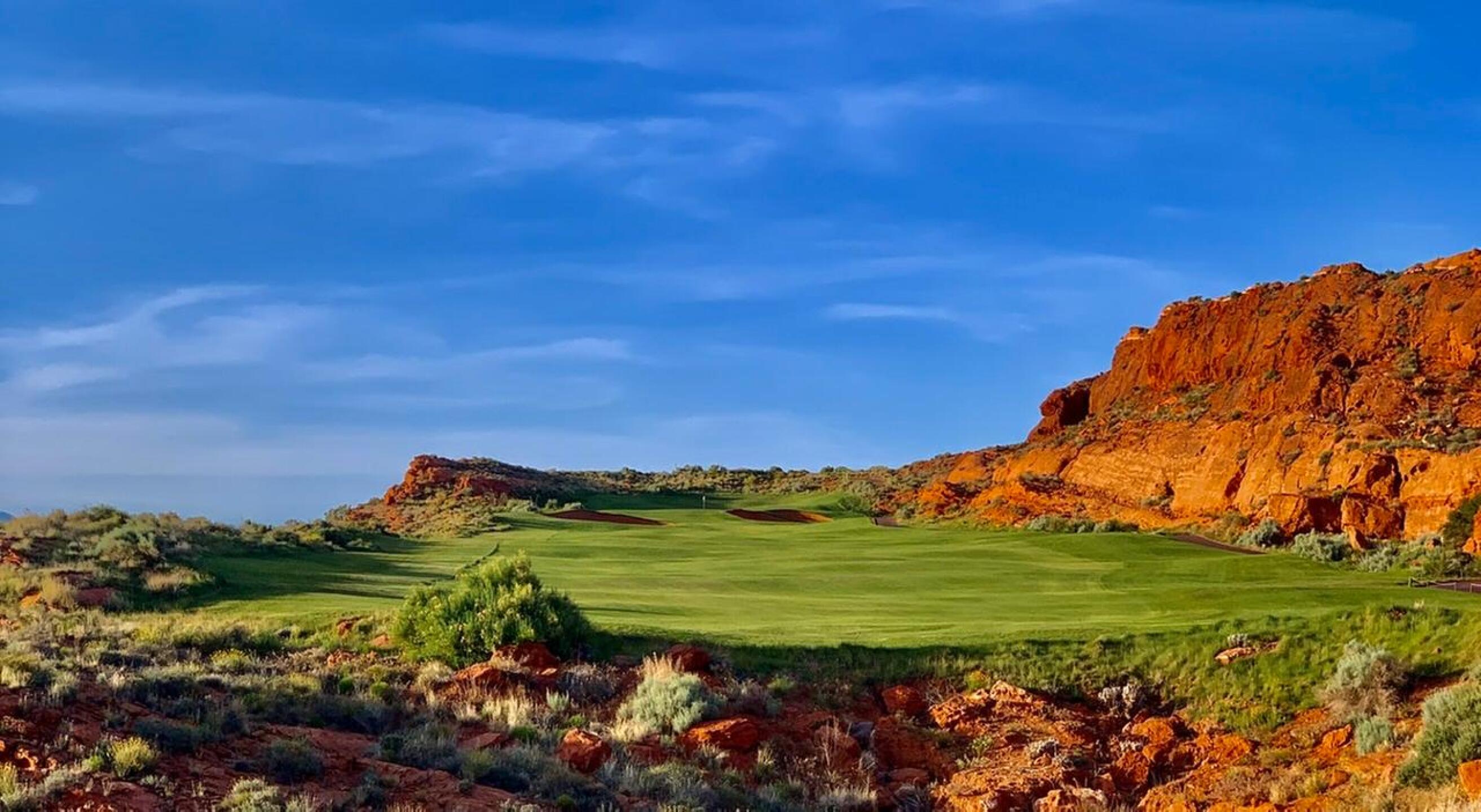 (Photo submitted by arguswilson on 05/08/2020)