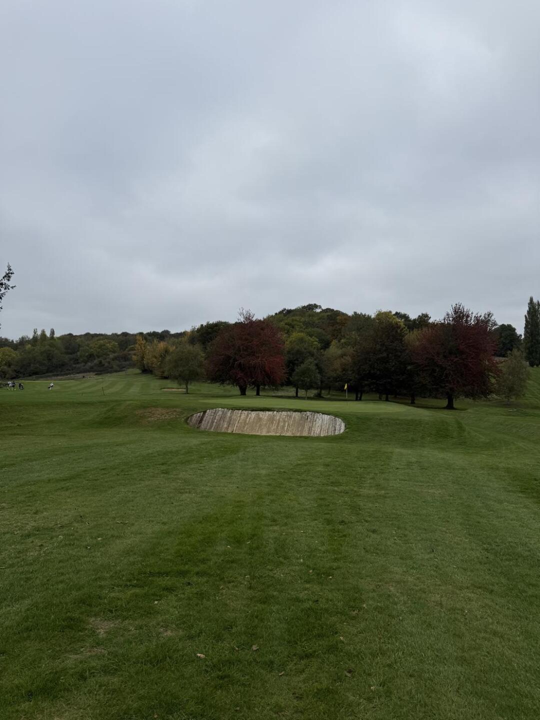 (Photo submitted by k93RDG3pKzP6As0ixrcx on 10/12/2025)