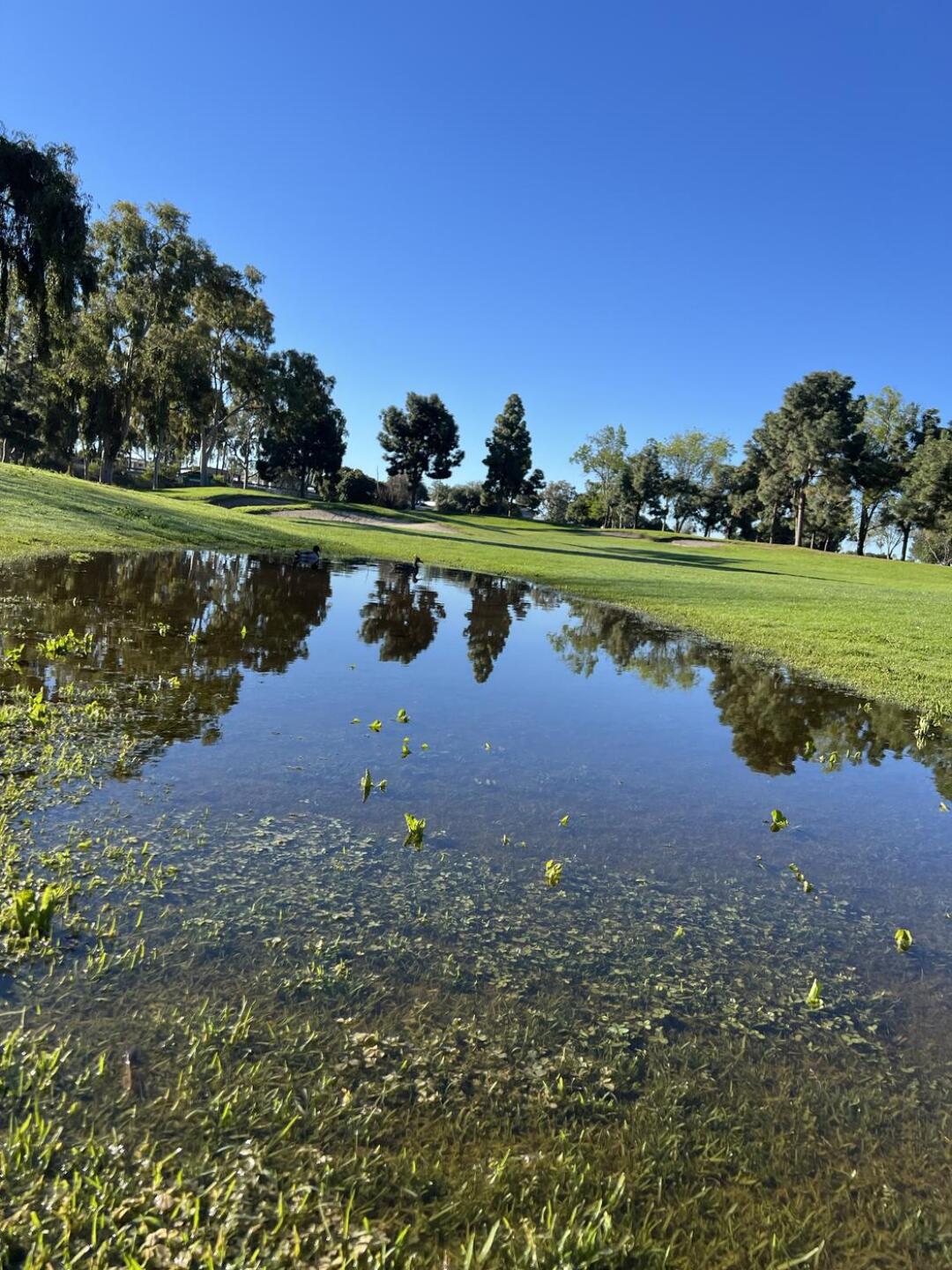 (Photo submitted by robbyrob55 on 02/11/2024)