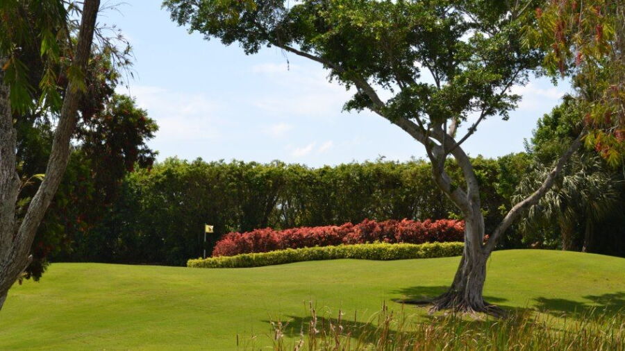 Stonebridge GCC: #4