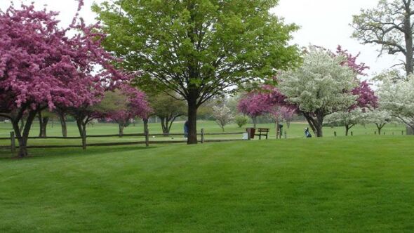 Shiloh Park GC