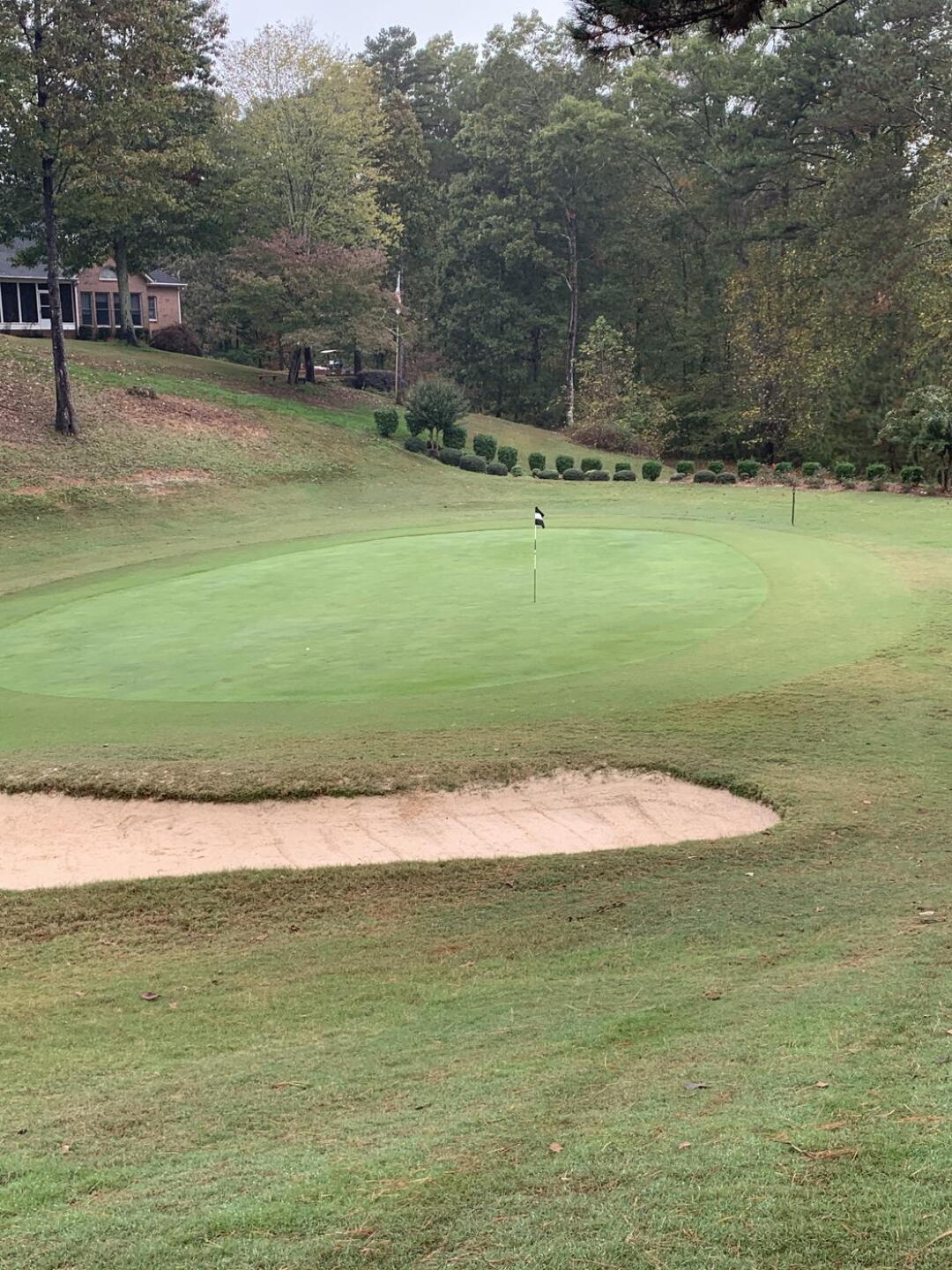 Zoom in to see my ball on the green ;) (Photo submitted by johnearl60 on 10/29/2020)