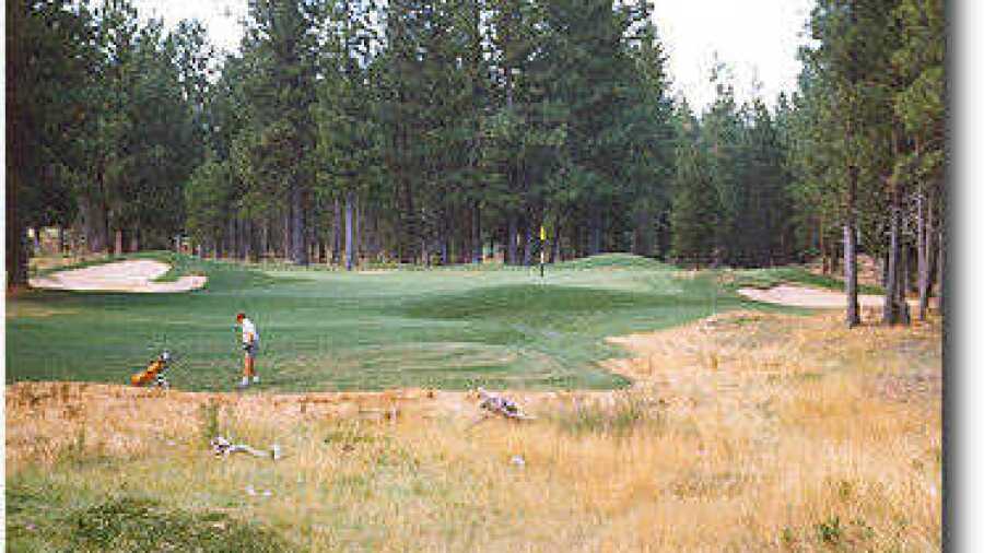 Widgi Creek #15