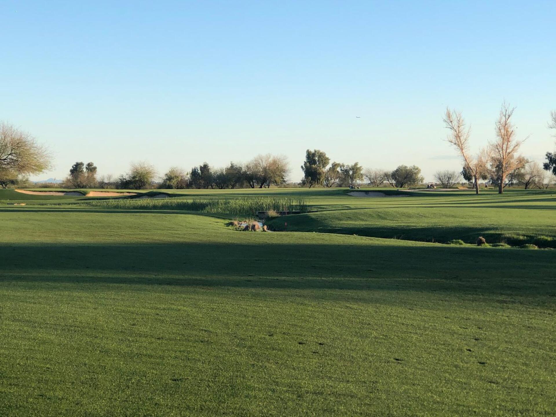 (Photo submitted by LeeHandel on 03/16/2020)