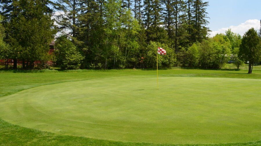 Pattison Park GC: #3