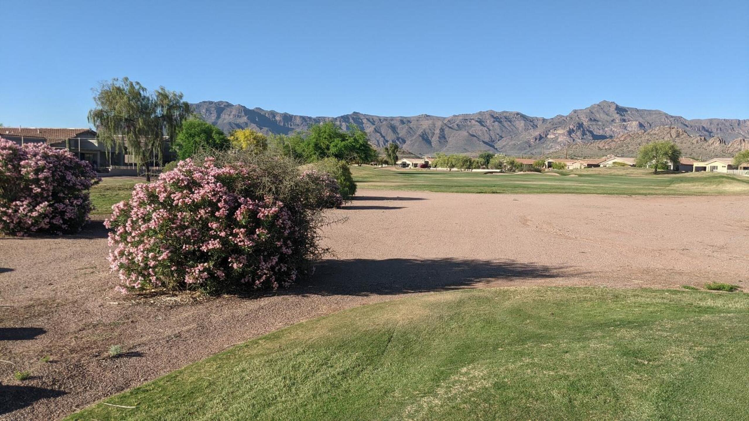 (Photo submitted by null on 04/15/2022)