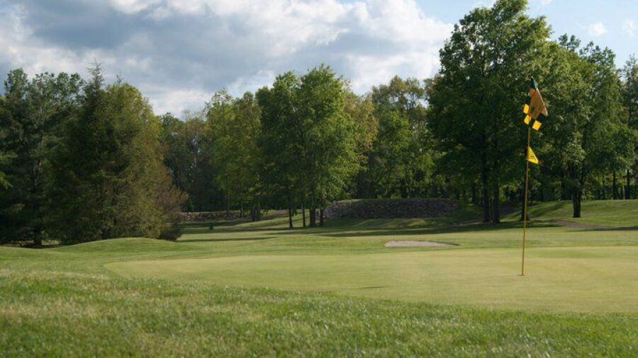 Irish at Bedford Hills GC: #9