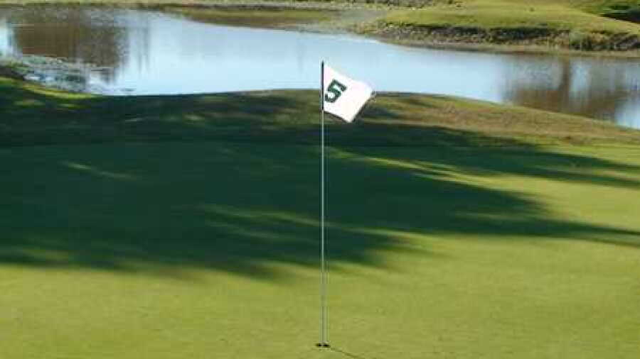 Lit'l Links GC: #5
