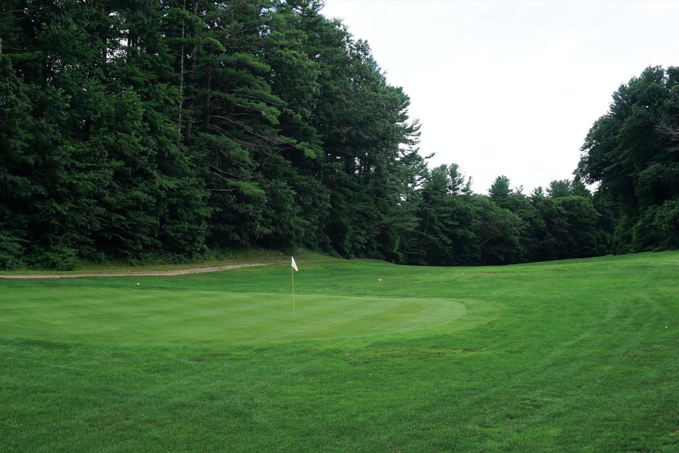 The eighth green (photo from July 4, 2021). (Photo submitted by AptlyLinked on 08/22/2021)