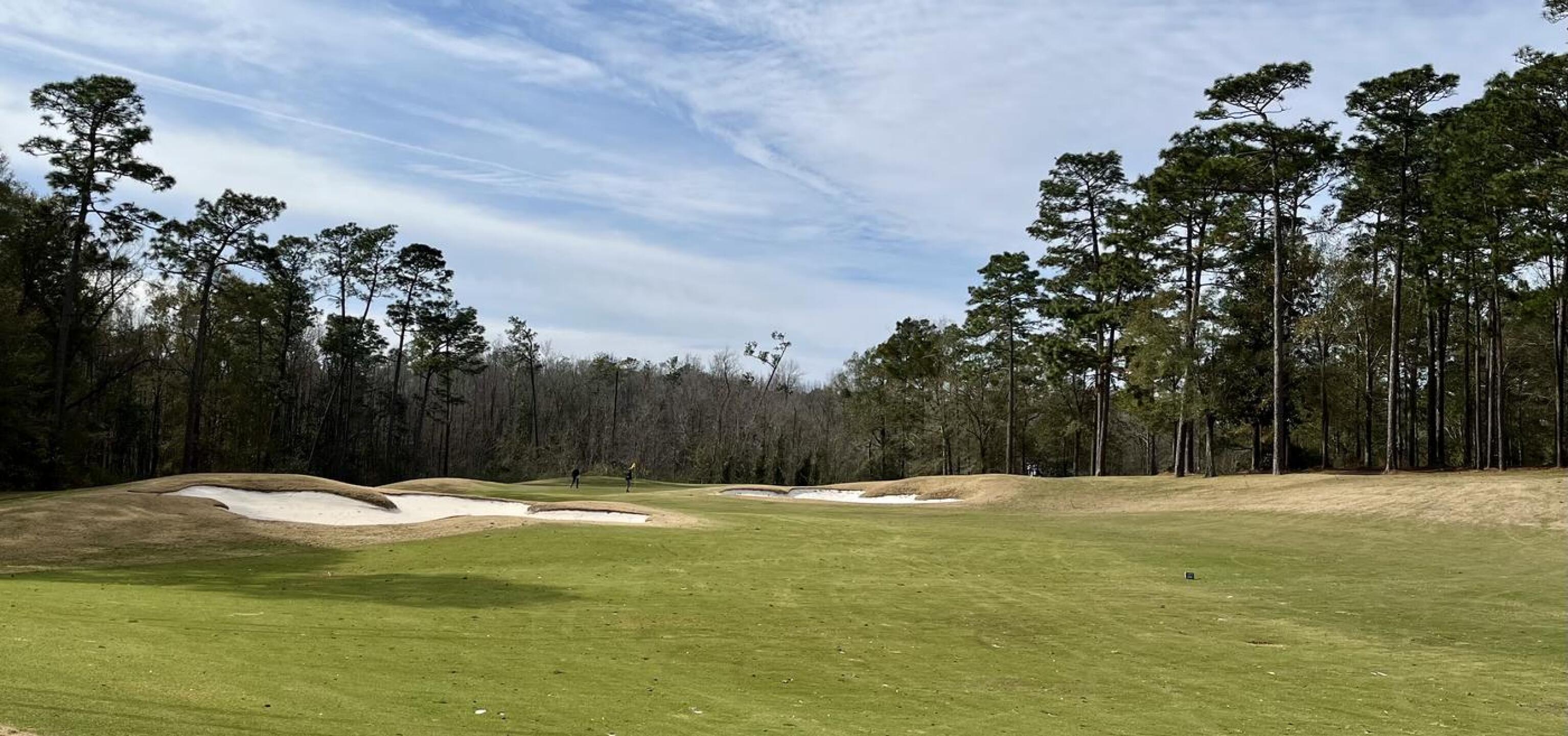 (Photo submitted by QuantumGolfx on 03/04/2022)