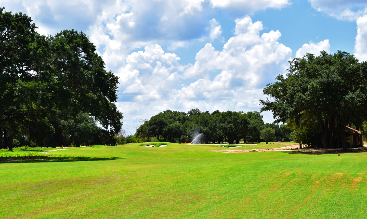 The Clubs at Houston Oaks